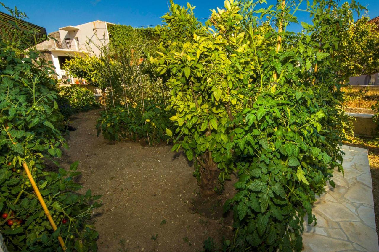 Ve & Ki Apartment Podstrana Bagian luar foto