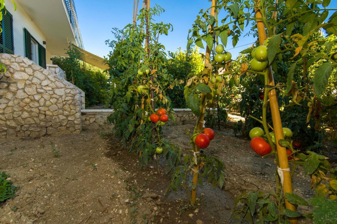 Ve & Ki Apartment Podstrana Bagian luar foto
