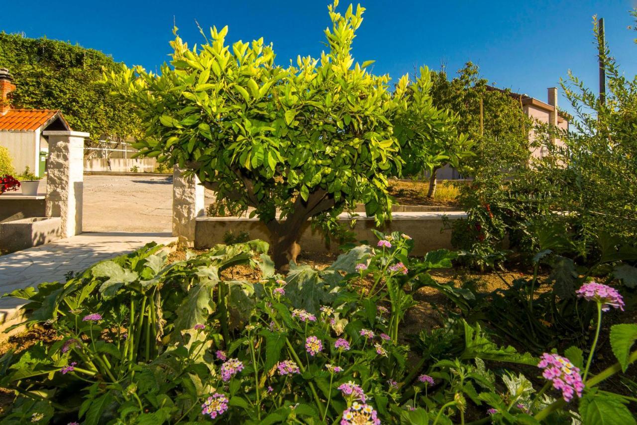 Ve & Ki Apartment Podstrana Bagian luar foto